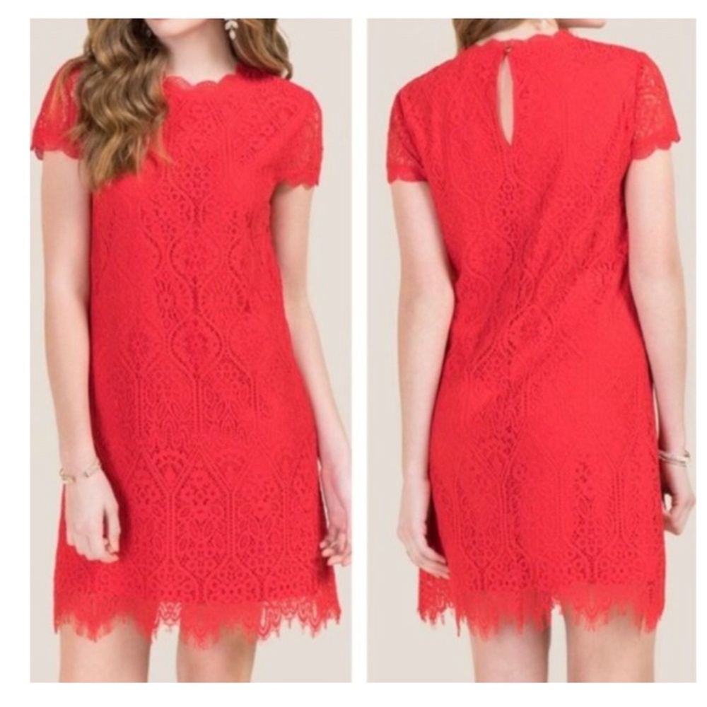 Francesca's Merida Red Lace Mini Shift Dress Special Occasion Party Size L